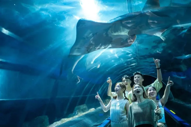 玩遍花蓮山海風景只要$990 海洋公園攜手理想PAARK水岸生活打造一日雙景點旅行提案