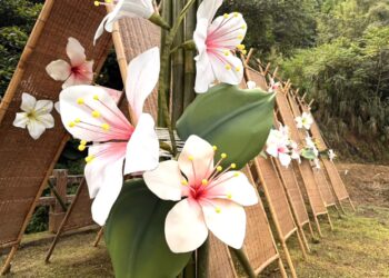 四月雪妝點群山 桐花祭「浪漫桐聚」