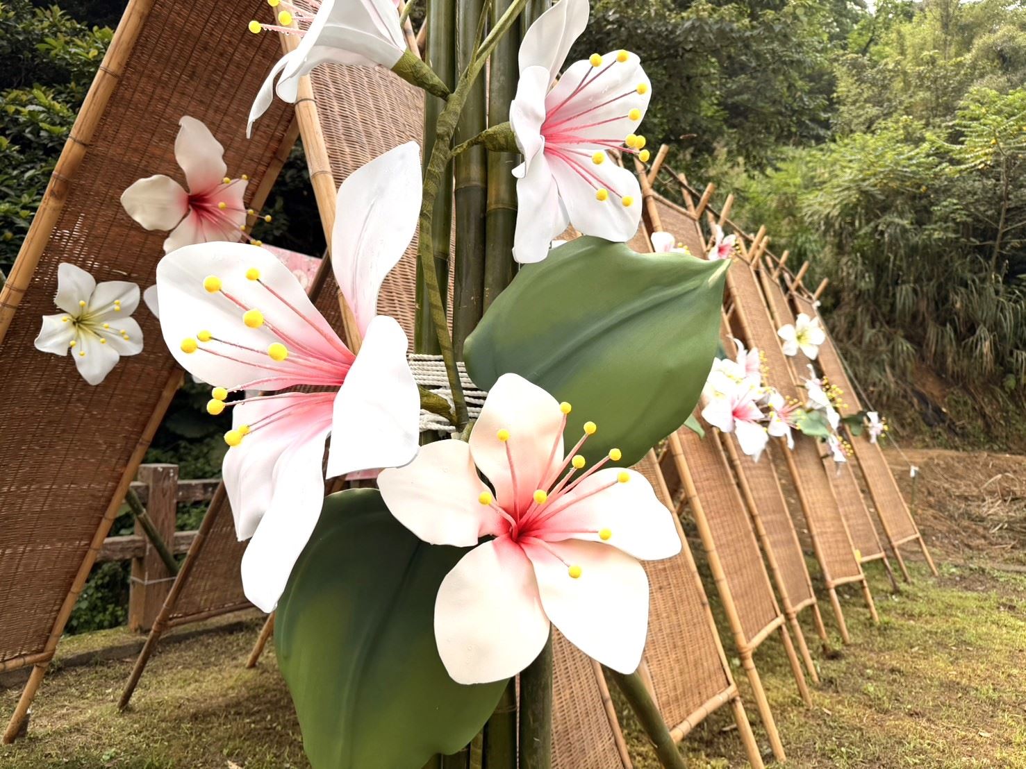 四月雪妝點群山 桐花祭「浪漫桐聚」