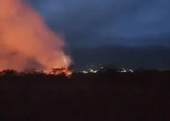台東知本溼地再傳火災 火燒面積逐漸擴大】